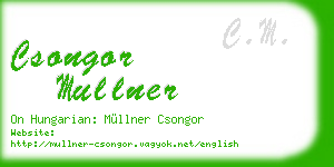 csongor mullner business card